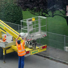 IMG_0911_JPG-1352416016