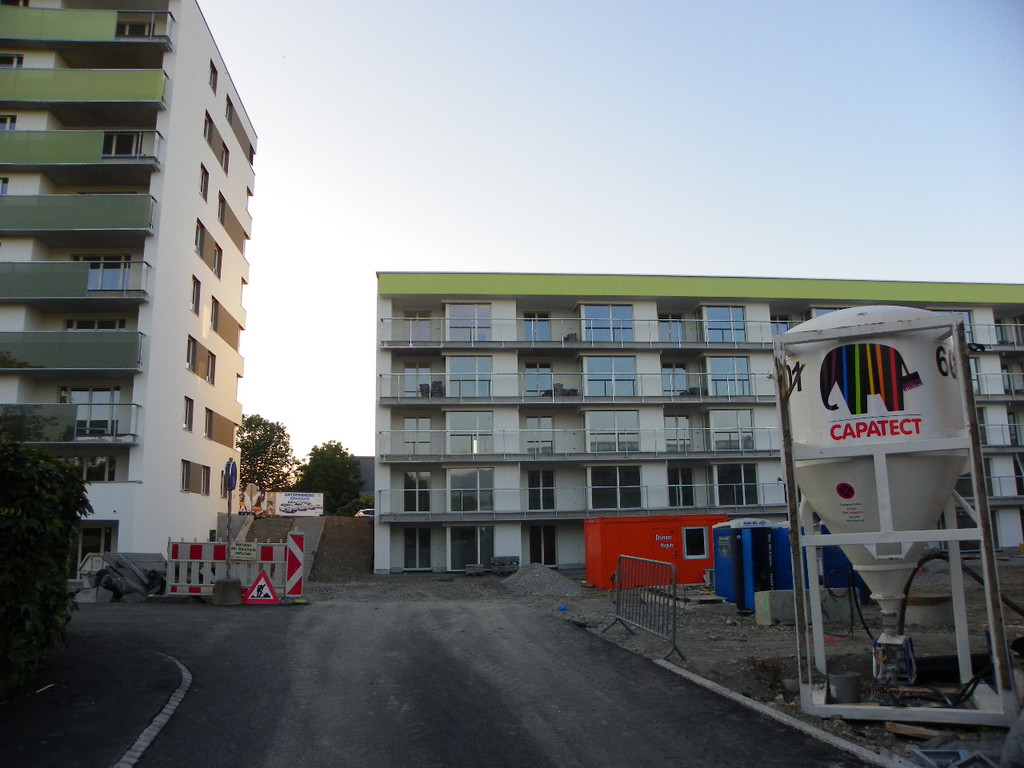 116_1469_JPG-1352417929