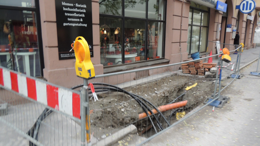 DSCN6896_JPG-1352420216