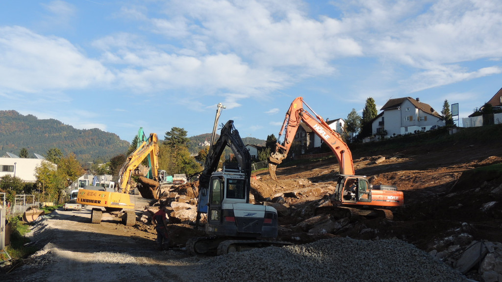 DSCN5360_JPG-1352420823