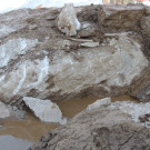 DSCN5377_JPG-1352420849