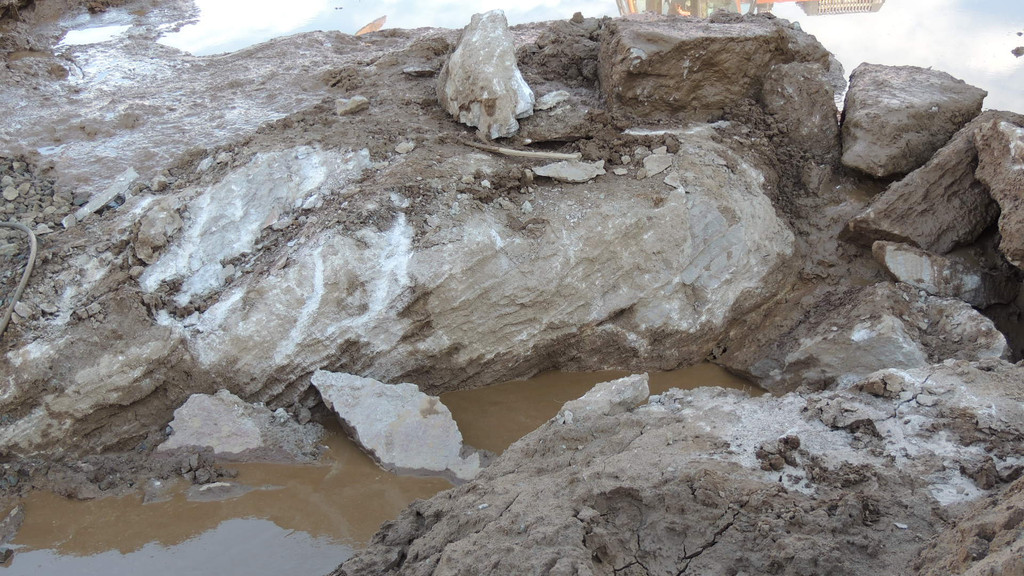 DSCN5377_JPG-1352420849