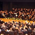 DSC08979_JPG-1352445905