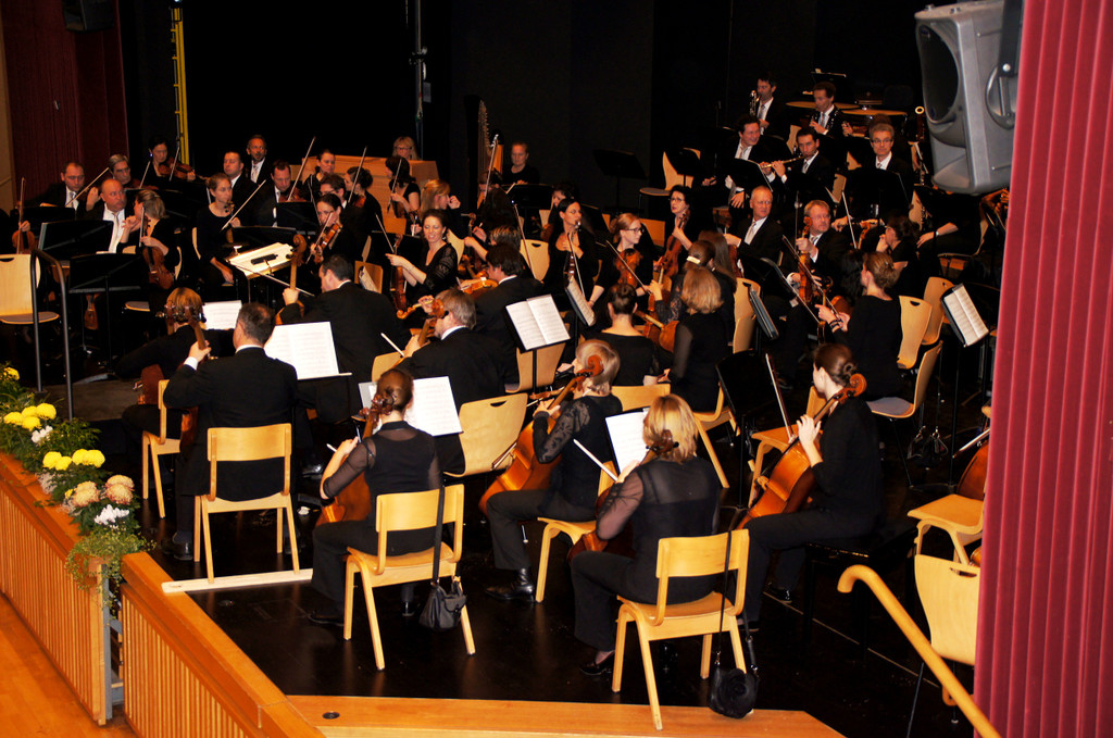 DSC08988_JPG-1352445926