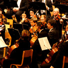 DSC08993_JPG-1352445933