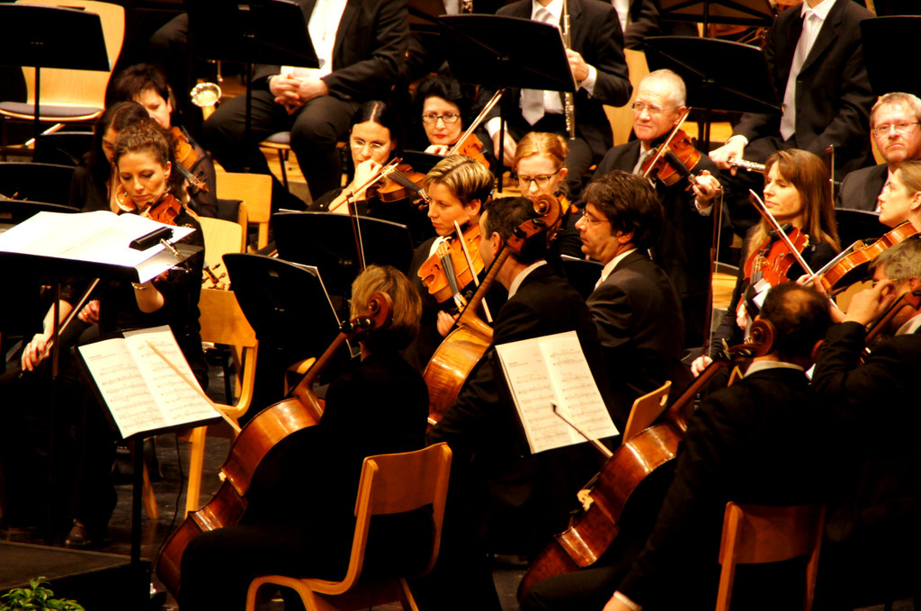 DSC08993_JPG-1352445933