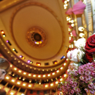 Opernball 2010: Ein Ball der Opulenz