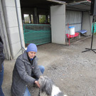 IMG_4929_JPG-1352472915