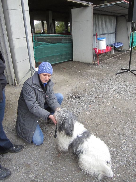 IMG_4929_JPG-1352472915