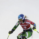 DAB1348-20121110.jpg