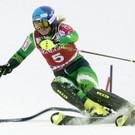 IBD0238-20121110.jpg