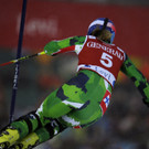 DAB1236-20121110.jpg