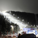 DAB1133-20121110.jpg