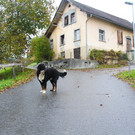 Bardella_2_JPG-1352558915