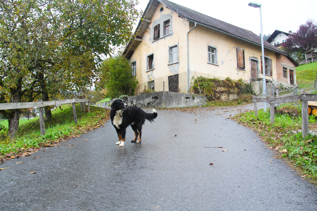 Bardella_2_JPG-1352558915