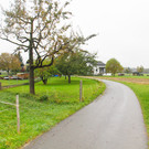 Br__hlweg_2_JPG-1352558821