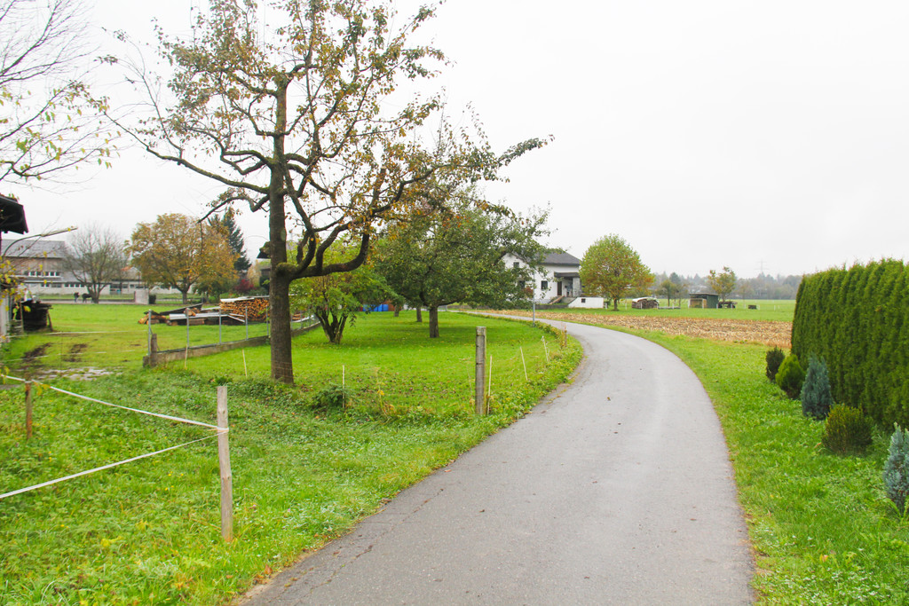 Br__hlweg_2_JPG-1352558821