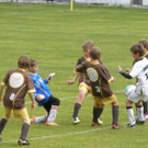 PB100014_JPG-1352570044