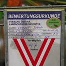 BK_Kleintierschau_Nofels 11_jpg-1352582125