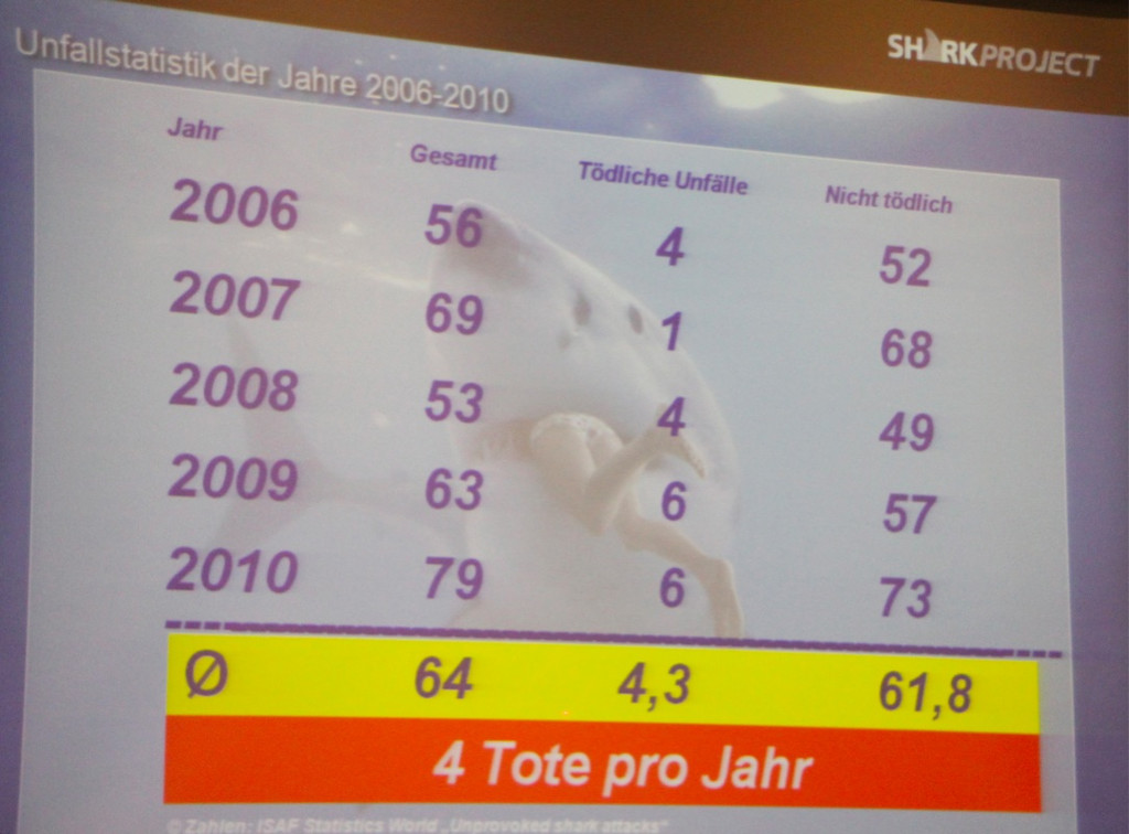 BK_Shark_Project 16_jpg-1352583661