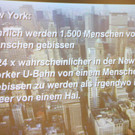 BK_Shark_Project 19_jpg-1352583681