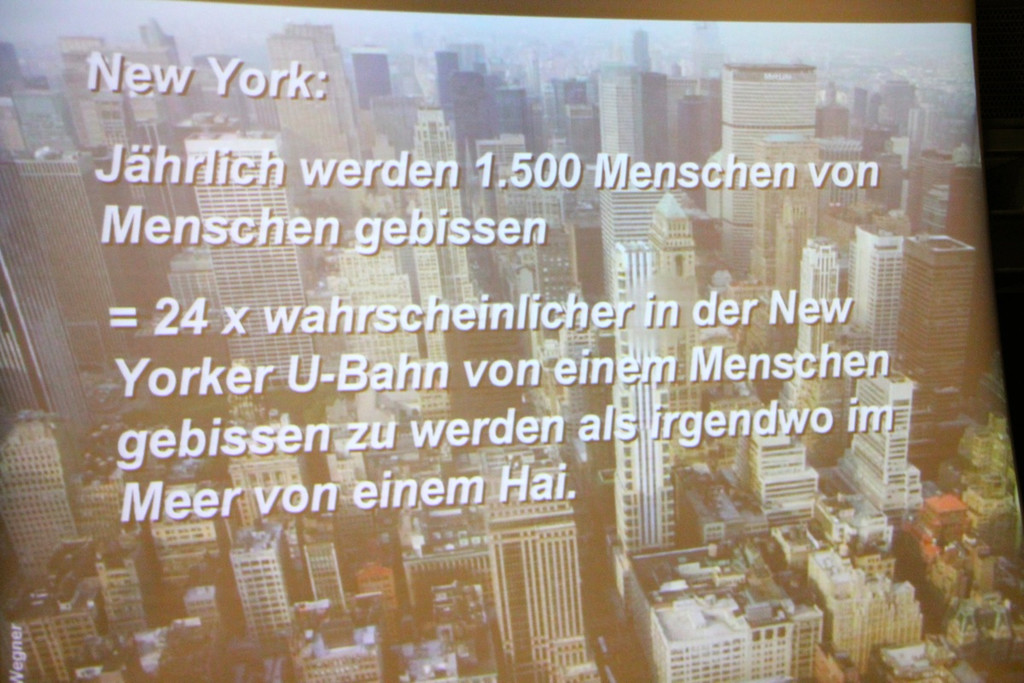 BK_Shark_Project 19_jpg-1352583681