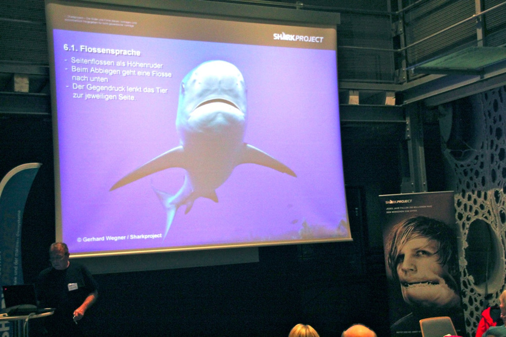 BK_Shark_Project 21_jpg-1352583695
