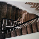 Bilder von der Vernissage