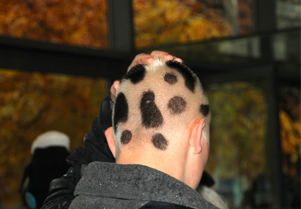 BK_Sp__ltaschr__nzer-2012-11-11 4_jpg-1352633097