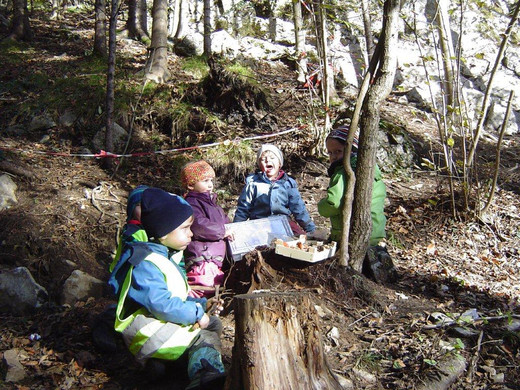 DSC07120_jpg-1352654694