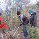 DSC_1649_JPG-1352664721