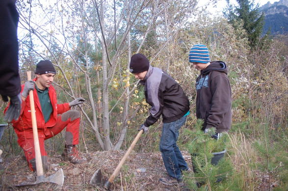 DSC_1649_JPG-1352664721