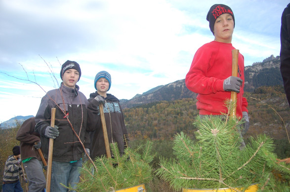 DSC_1696_JPG-1352664725