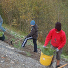 DSC_1727_JPG-1352664731