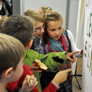DSC_0401_JPG-1352678523