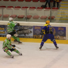 Zeller Eisbären - Bregenzerwald
