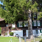 Versteigerung: Mehrfamilienhaus in Altach