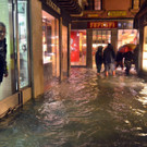 IBD0311-20121101.jpg