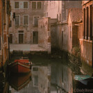 DAB1005-20121026.jpg