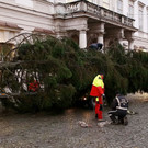 normal_12112012fmt_mirabellchristbaum_mw_009.JPG