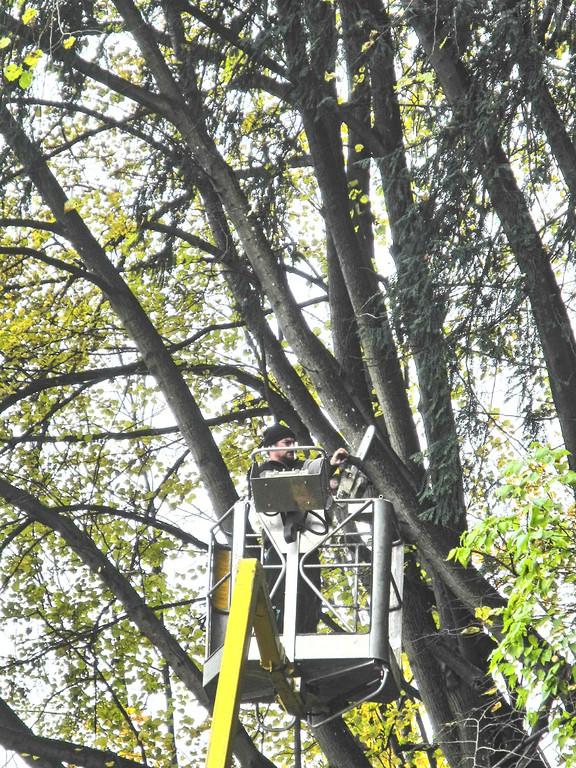 DSCN7408_JPG-1352750014