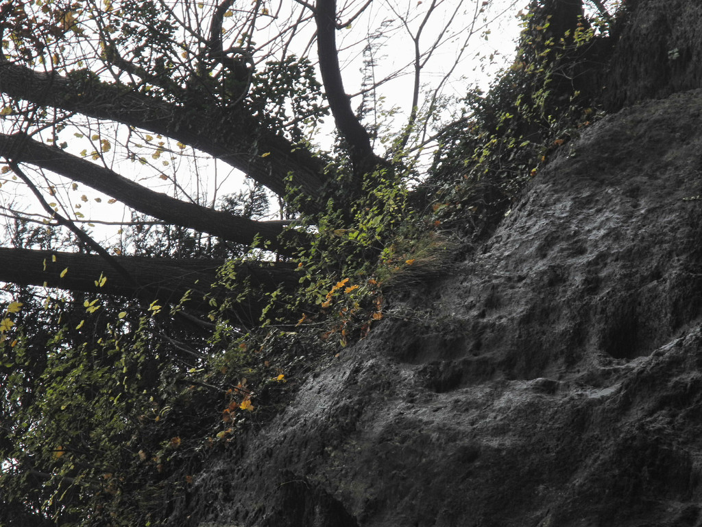 DSCN7412_JPG-1352750125