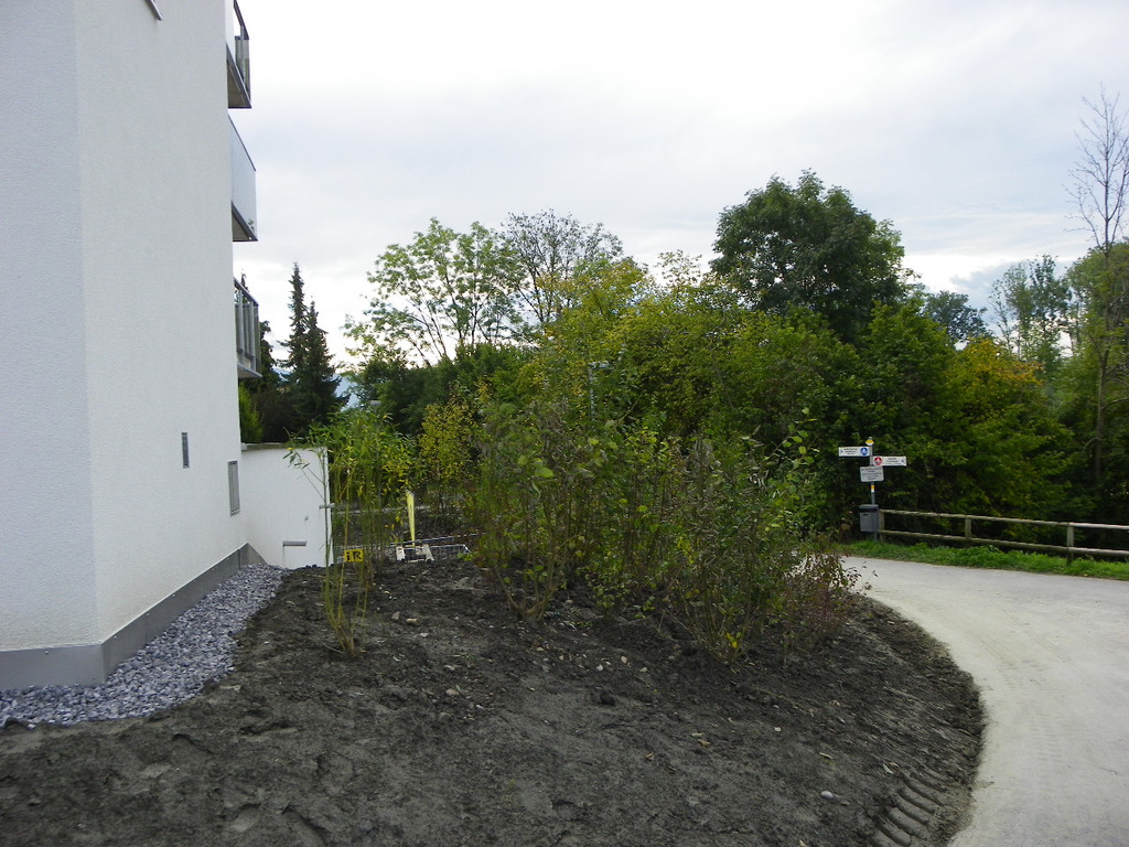 116_2839_JPG-1352764121