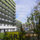 116_2916_JPG-1352764147