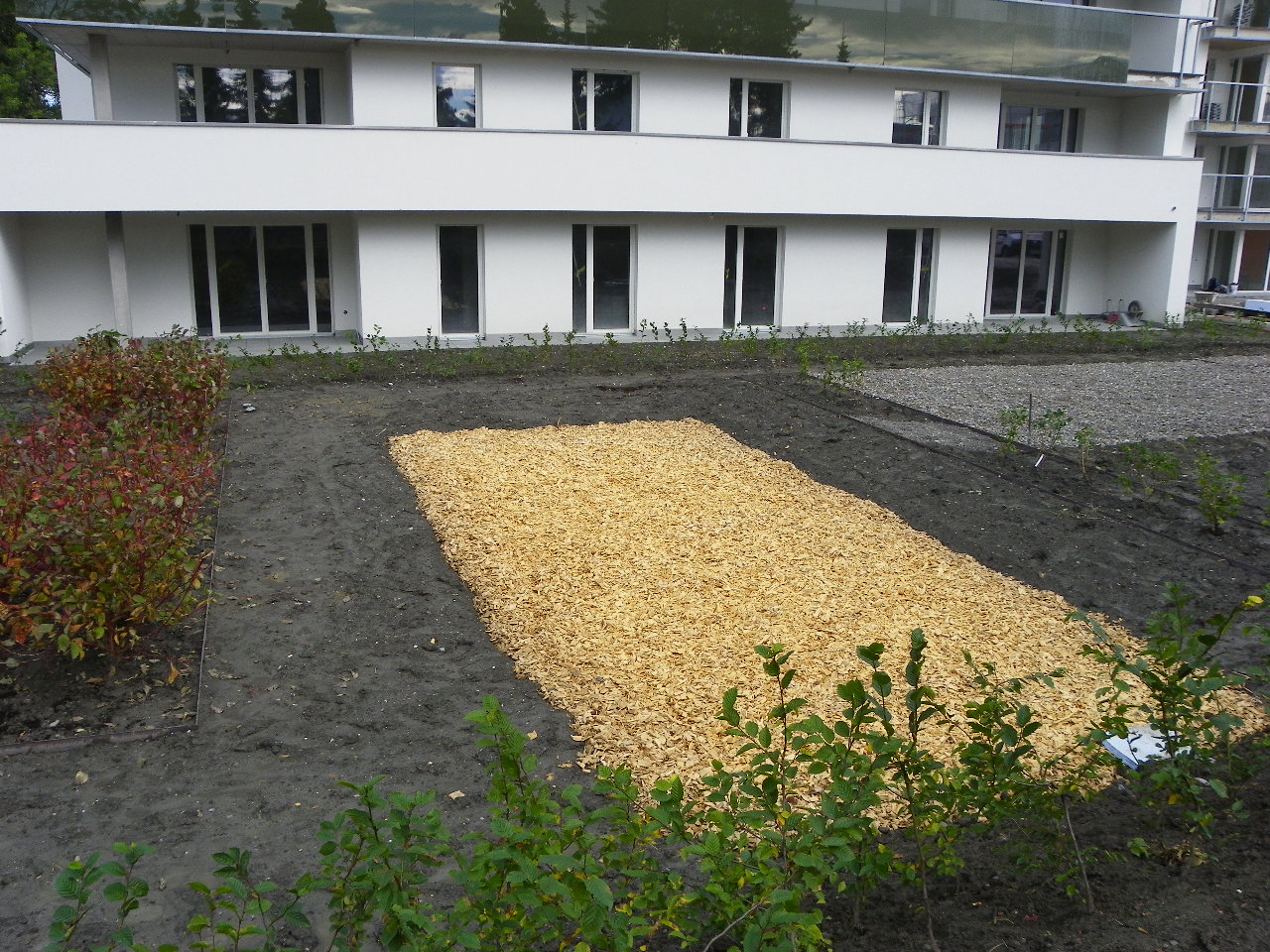 116_2842_JPG-1352764130