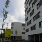 116_2838_JPG-1352764117