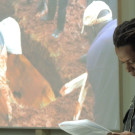 DSCN7168_JPG-1352764605