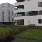 DSCN7404_JPG-1352764889