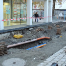 DSCN7067_JPG-1352766281