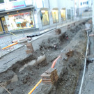 DSCN7075_JPG-1352766310